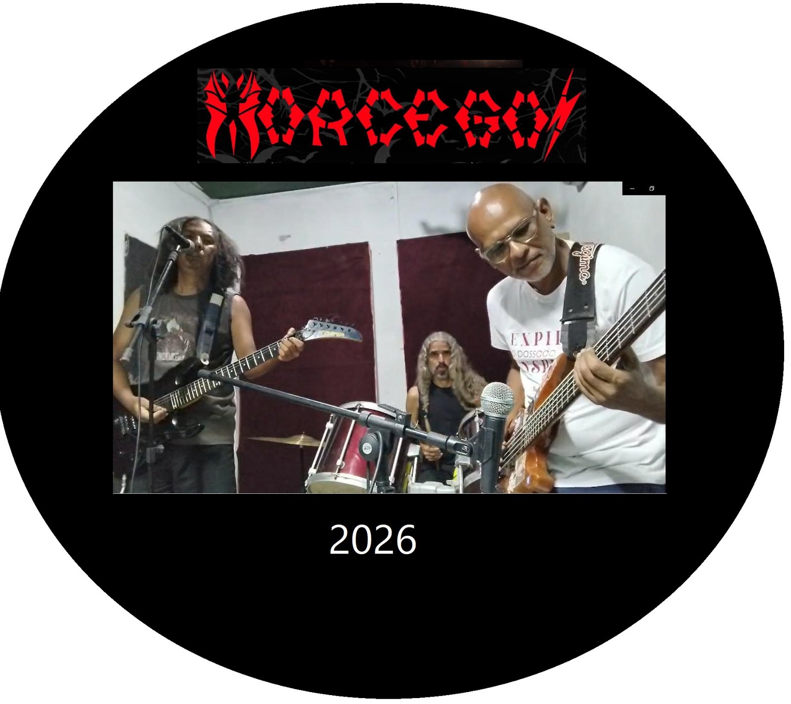 Morcegos